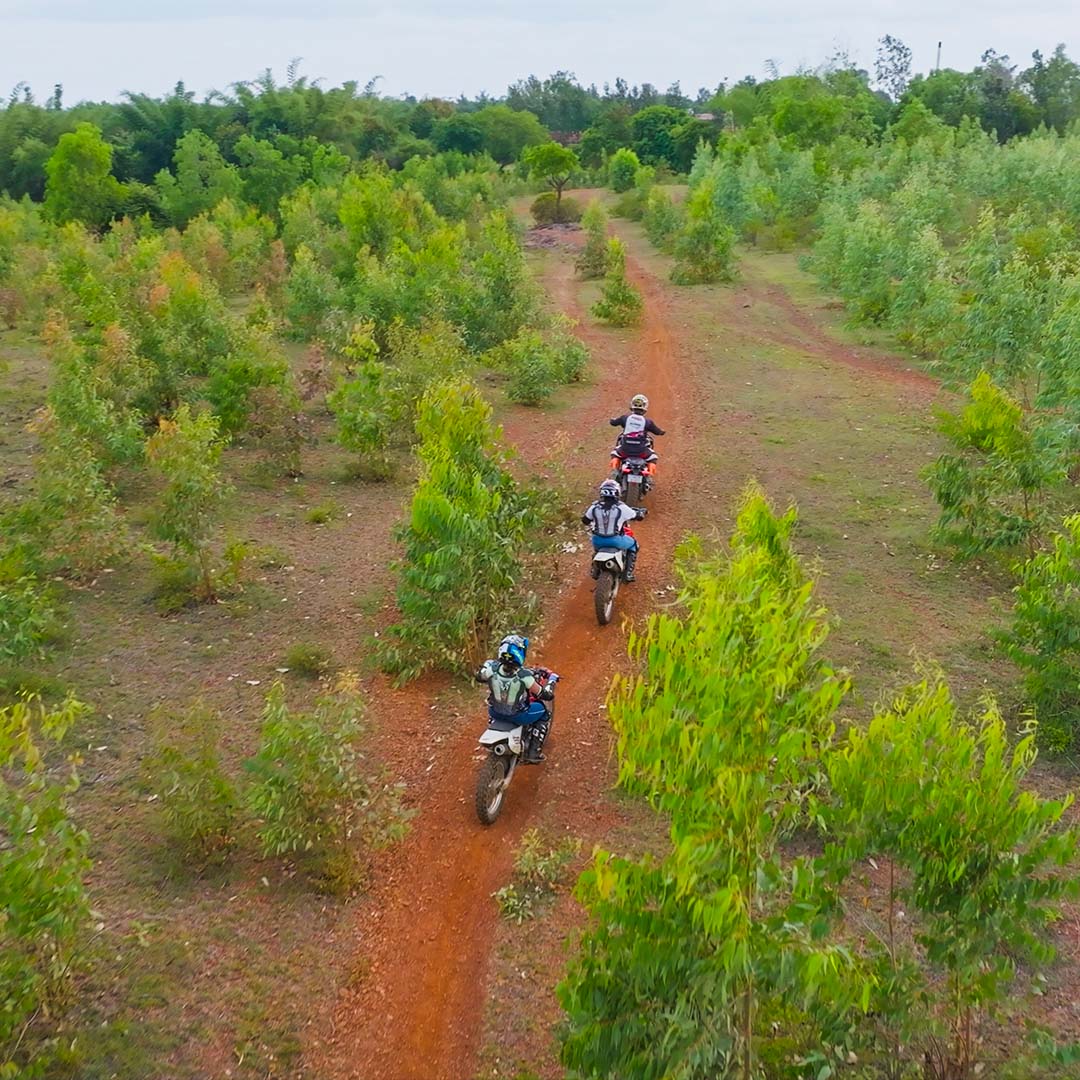 Post training, head outside the dirt park into the adjoining forest, with rocky pathways and narrow dirt roads. 